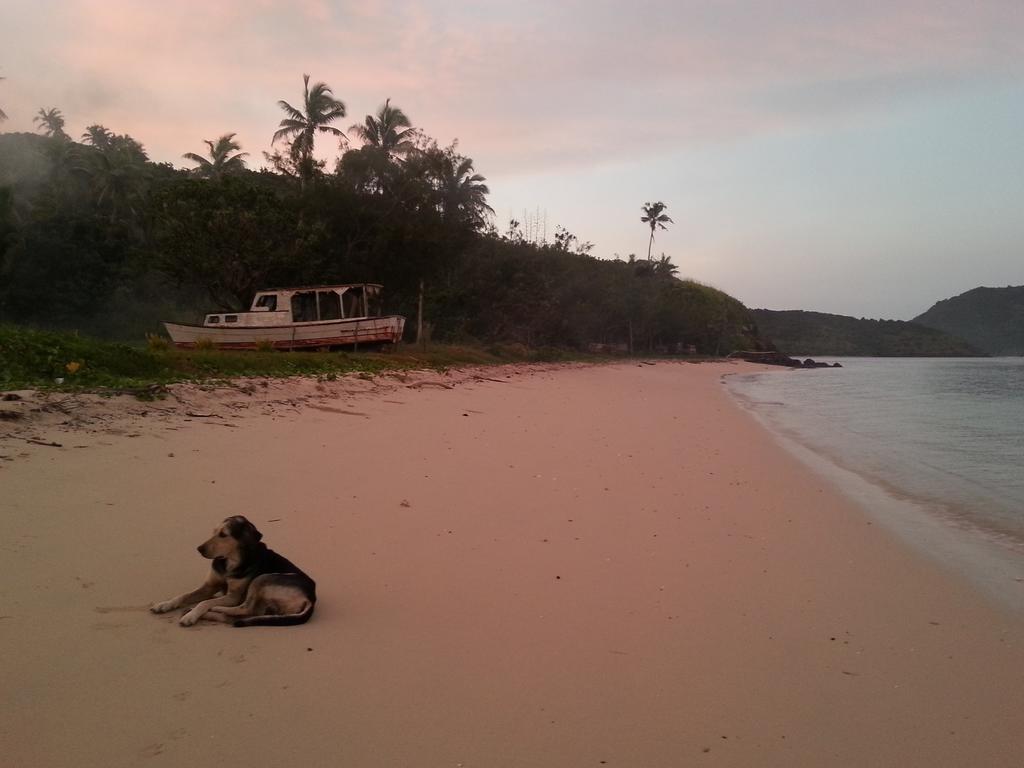Yasawa Homestays Naisisili Extérieur photo